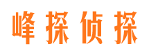 翠峦市侦探公司